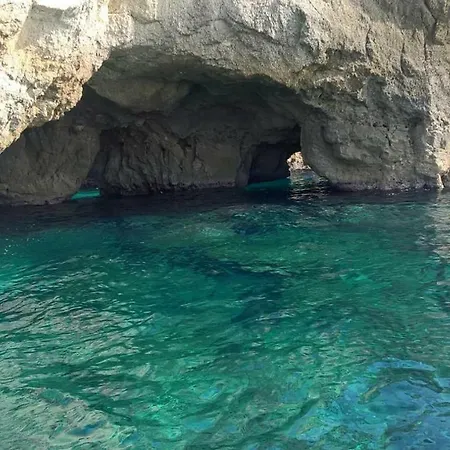 Acquarium Tropea-3